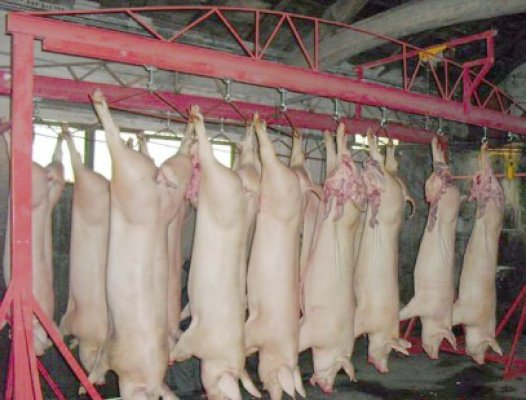 Carnea de porc se va scumpi, pe fondul creşterii preţurilor la cereale